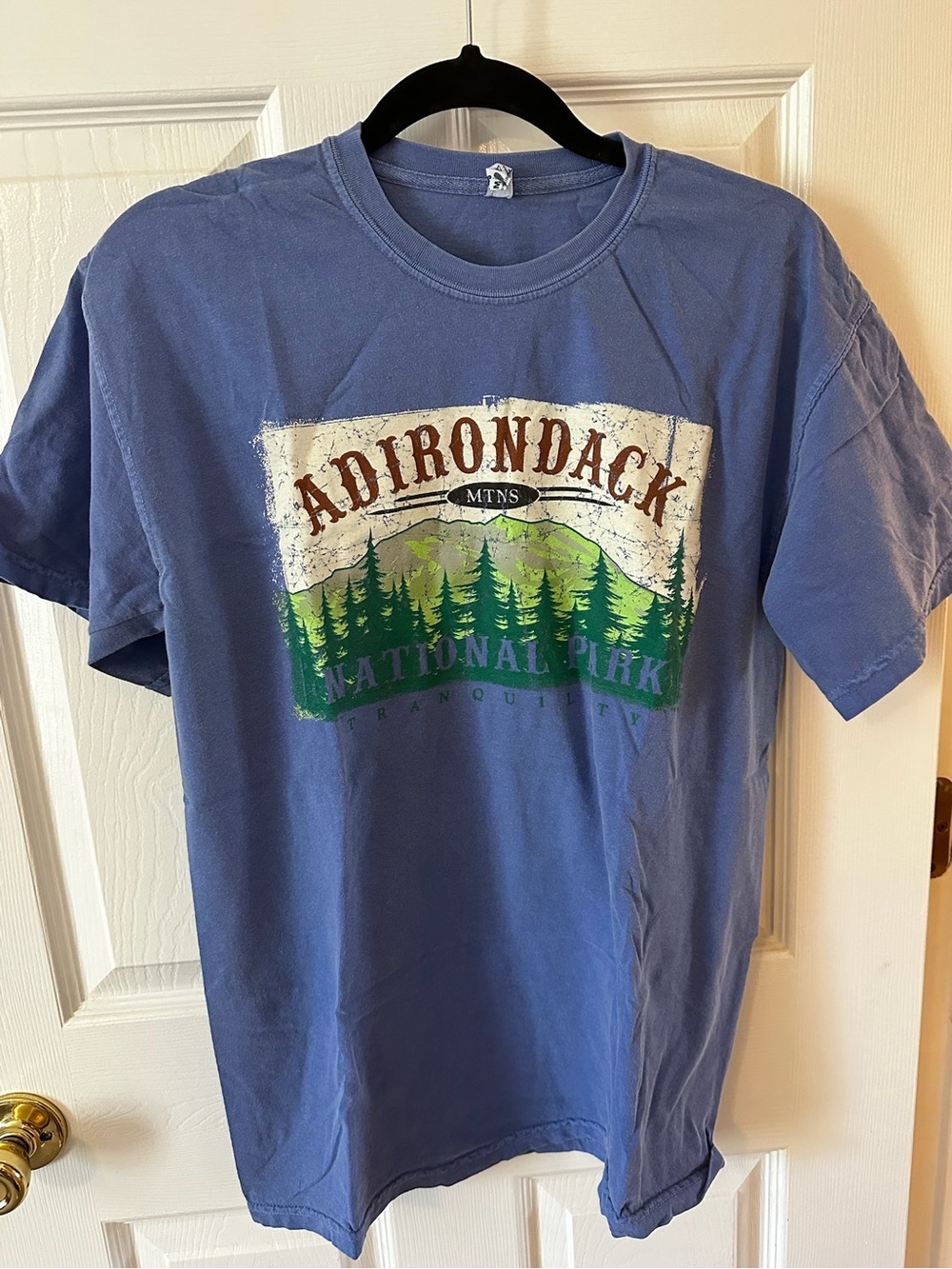Comfort Colors Blue Adirondack National Park Tee with Forest Graphic